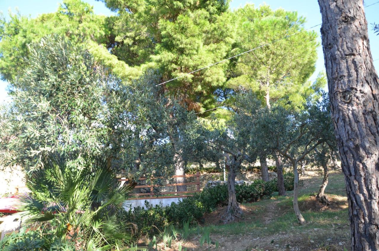 Il Paradiso Di Giacomo Erice Ngoại thất bức ảnh