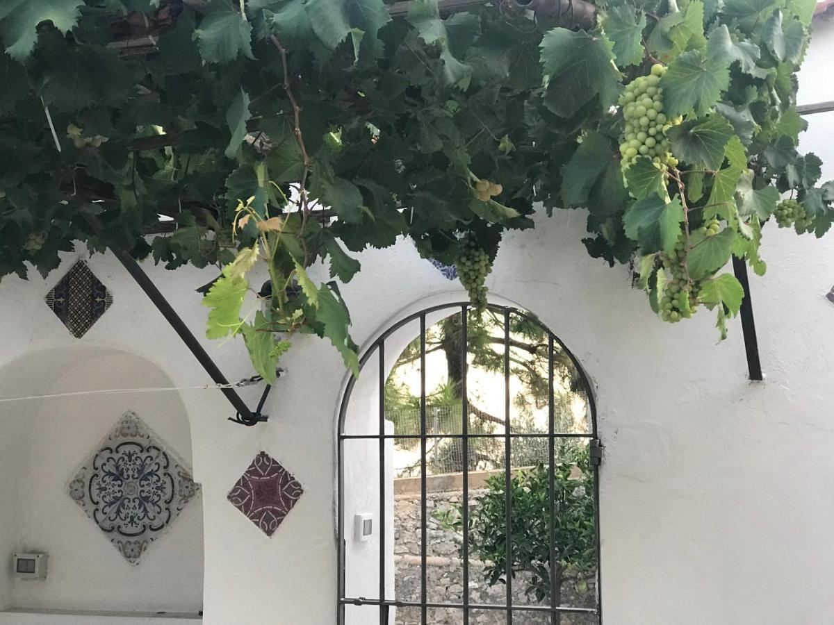 Il Paradiso Di Giacomo Erice Ngoại thất bức ảnh